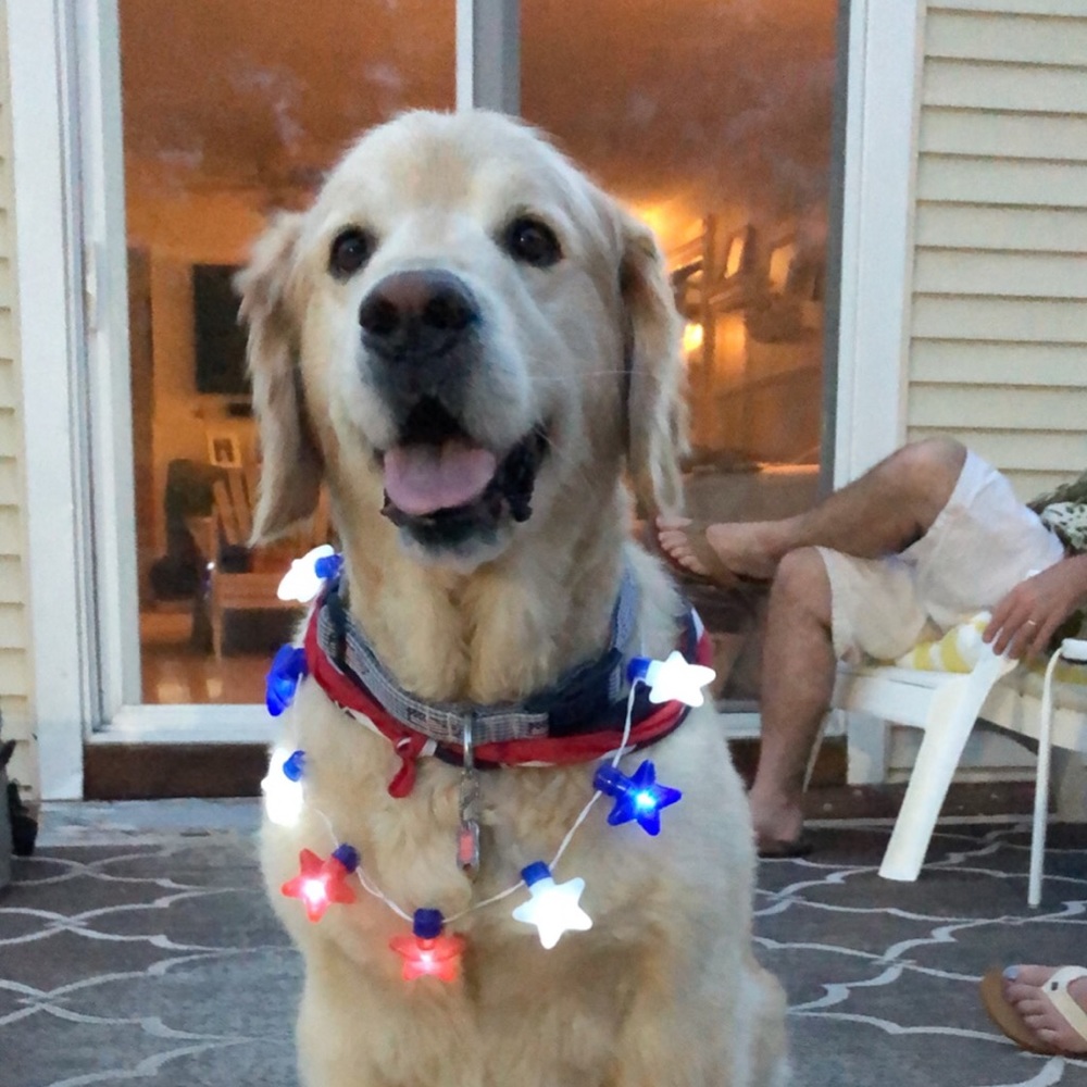 Meet your Posher, Chandler